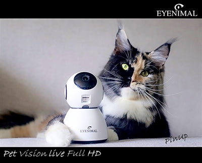 Eyenimal Pet Vision Live Hd Kamera Mit Geräuscherkennung
