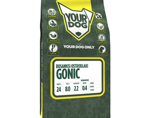 Yourdog Bosanksi Ostrodlaki Gonic Senior