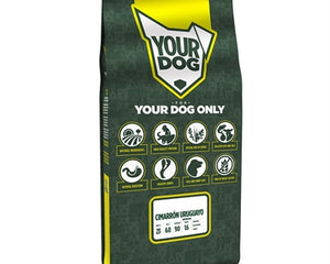 Yourdog Cimarrón Cimarrón Uruguayo Senior