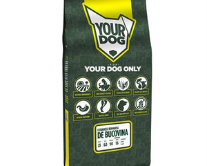 Yourdog Ciobanesc Romanesc De Bucovina Senior