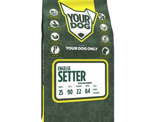 Yourdog English Setter Erwachsen