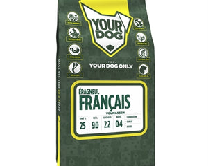 Yourdog Epagneul Français Erwachsene