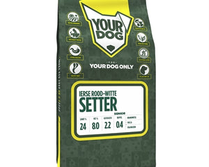 Yourdog Irischer Rot-Weisser Setter Senior