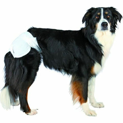 Trixie Blöjor Trixie M Hund