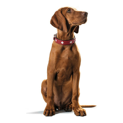 Hunter Hundhalsband Hunter Swiss Röd/Svart (38-43.5 Cm)
