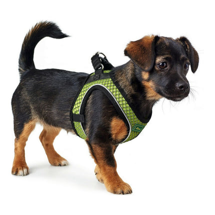 Hunter Hundsele Hunter Hilo-Comfort Xs-S Lime (37-42 Cm)