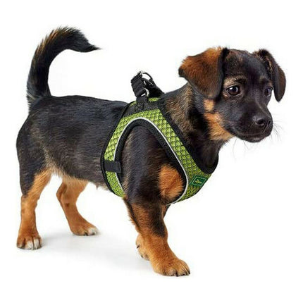 Hunter Hundsele Hunter Hilo-Comfort Storlek S Lime (42-48 Cm)