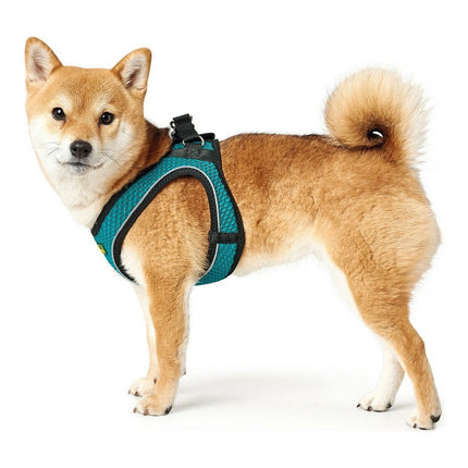 Hunter Hundsele Hunter Hilo-Comfort Turkos Xs/S (37-42 Cm)