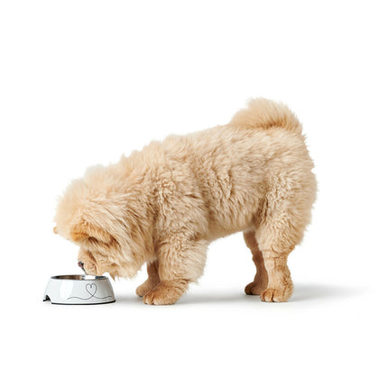 Hunter Hundmatare Hunter Valencia Vit 350 Ml