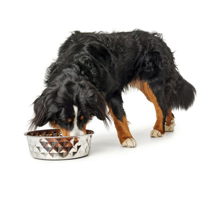 Hunter Hundmatare Hunter Silikon Rostfritt Stål 350 Ml