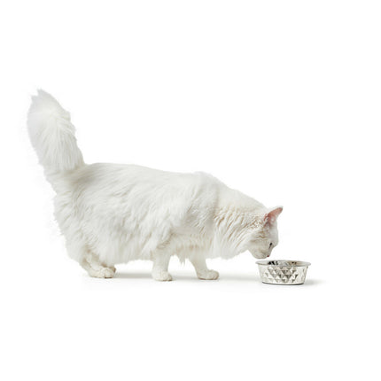 Hunter Hundmatare Hunter Silikon Rostfritt Stål 550 Ml