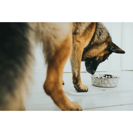 Hunter Hundmatare Hunter Silikon Rostfritt Stål 4,1 L