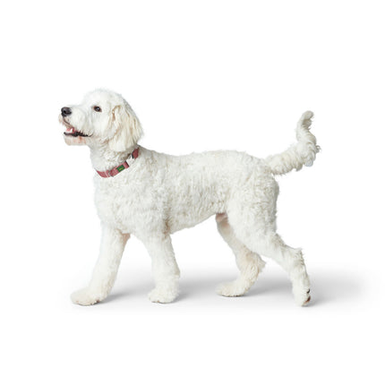 Hunter Hundhalsband Hunter Röd 40-55 Cm L