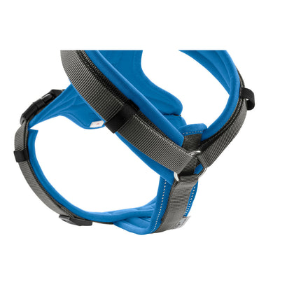 Hunter Hundsele Hunter Maldon Up Blå 38-62 Cm