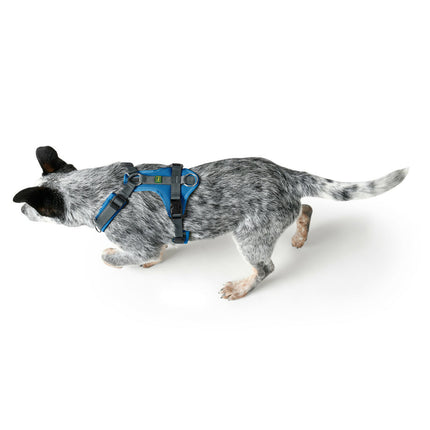 Hunter Hundsele Hunter Maldon Up Blå 57-98 Cm