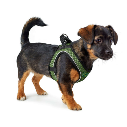 Hunter Hundsele Hunter Comfort Grön Xs/S 37-42 Cm