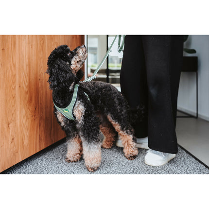 Hunter Hundsele Hunter Comfort Grön Xs/S 37-42 Cm