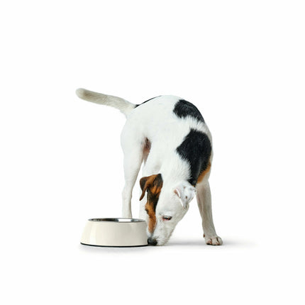Hunter Hundmatare Hunter Svart 1,4 L Melamin