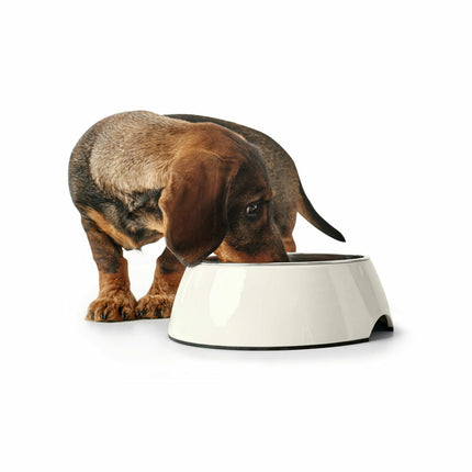 Hunter Hundmatare Hunter Svart 1,4 L Melamin
