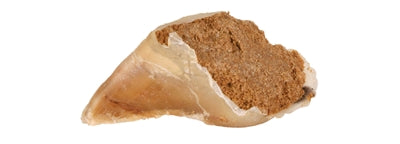 Trixie Mit Füllung 115 G 25X115 Gr