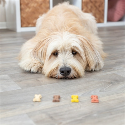 Trixie Cookie Snack Mini Knochen 2X1.3 Kg