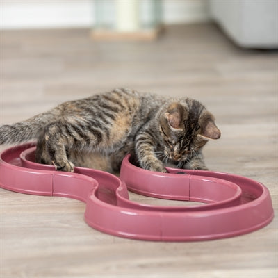 Trixie Blinkende Kugel Rennen Kunststoff Rosa 65X31 Cm