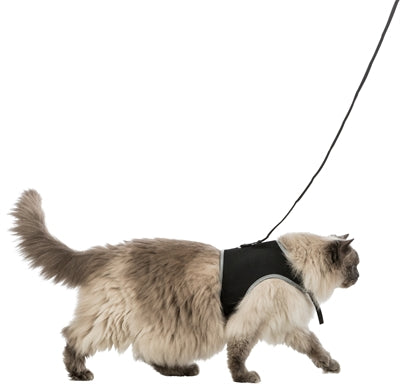 Trixie Softgeschirr Katze Mit Leine Schwarz 36-54 Cm 120 Cm 2 Stück