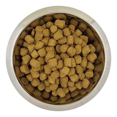 Yourdog Chien Français Blanc Et Orange Erwachsene 12 Kg