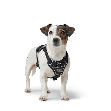 Hunter Hundsele Hunter Divo Up Svart L/Xl