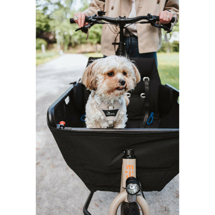 Hunter Hundsele Hunter Divo Up Beige S/M