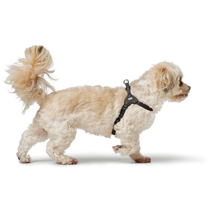 Hunter Hundsele Hunter Soho Mini Svart Xxs/Xs