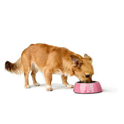 Hunter Hundmatare Hunter Chester Rosa 160 Ml