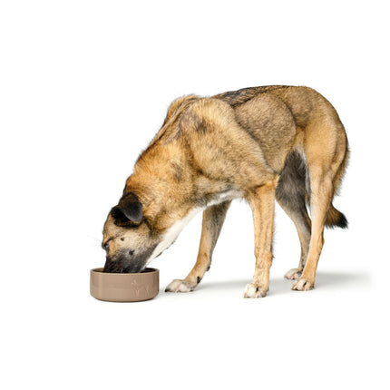 Hunter Hundmatare Hunter Osby Beige Keramik 1,9 L