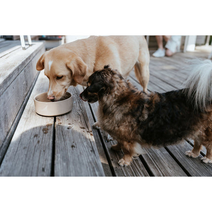 Hunter Hundmatare Hunter Osby Beige Keramik 1,9 L