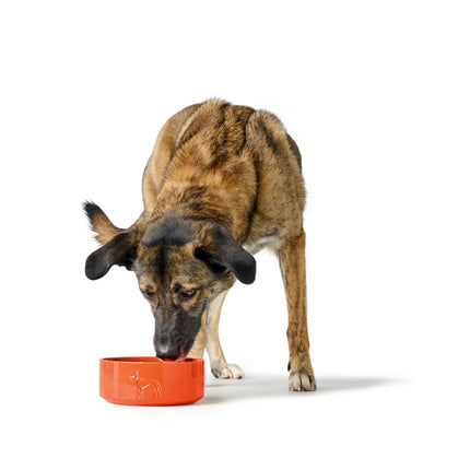 Hunter Hundmatare Hunter Osby Orange Keramik 550 Ml