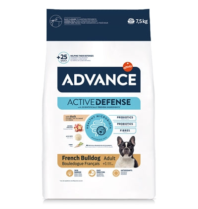Advance Erwachsene Französische Bulldogge