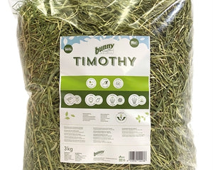 Bunny Nature Timothy Hooi