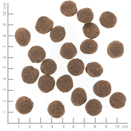 Wolfsblut Foder Wolfsblut Vuxen Kött 12 Kg