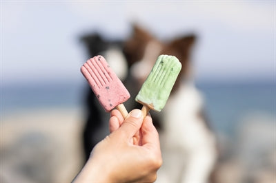 Trixie Ice Pop Rosa 55 G R