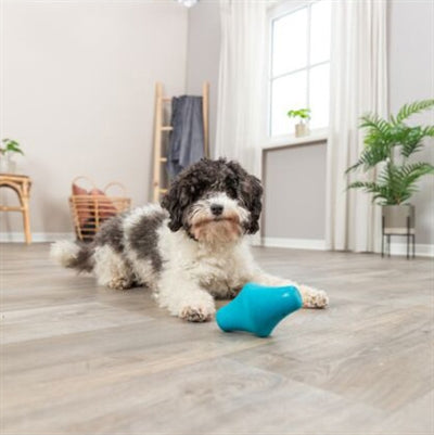 Trixie Snack Top Naturkautschuk Benzin 12 Cm 3 St