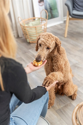 Trixie Collagen Denta Fun Twists Mit Huhn