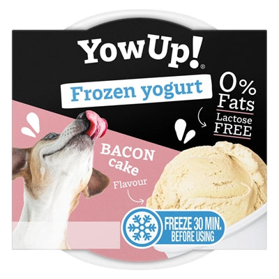 Yowup! Gefrorener Joghurt-Speck-Kuchen