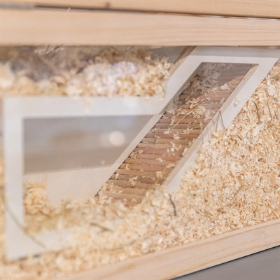 Trixie Observationsbox Mus / Hamster Med Tunnel Obehandlat Trä 36X17 Cm