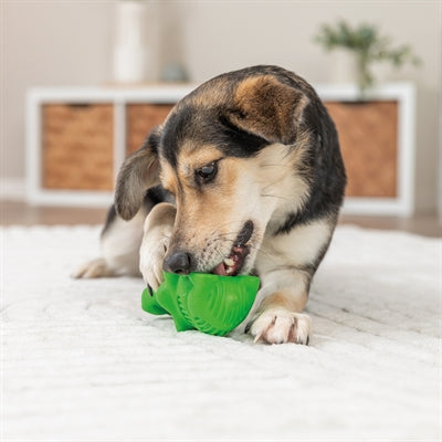 Trixie Snack Krokodil Naturkautschuk Grün 18 Cm 2 St
