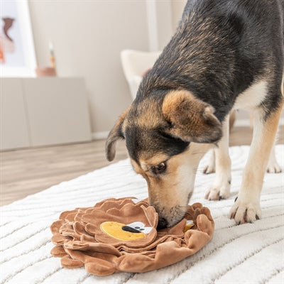 Trixie Be Eco Snackmatte Löwe Aus Recyceltem Plüsch 26 Cm 2 St