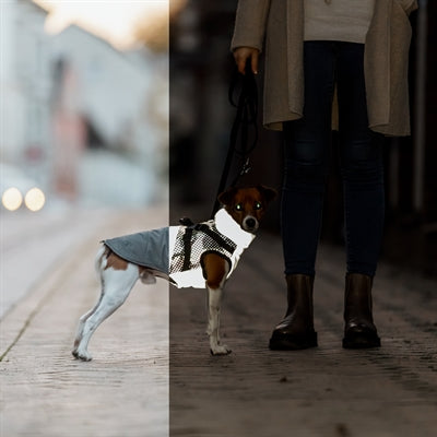 Trixie Hundemantel Pontis Mit Geschirr Reflect Grey
