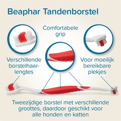 Beaphar Und Bürste Kombi-Packung