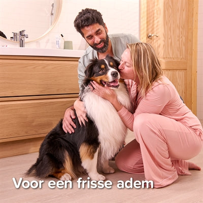 Beaphar Und Bürste Kombi-Packung