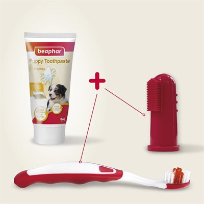 Beaphar Und Bürste Combo Pack Welpe