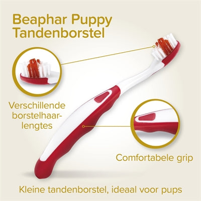 Beaphar Und Bürste Combo Pack Welpe